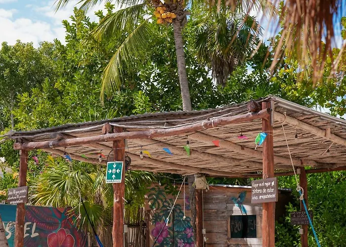 Mapache Hostel