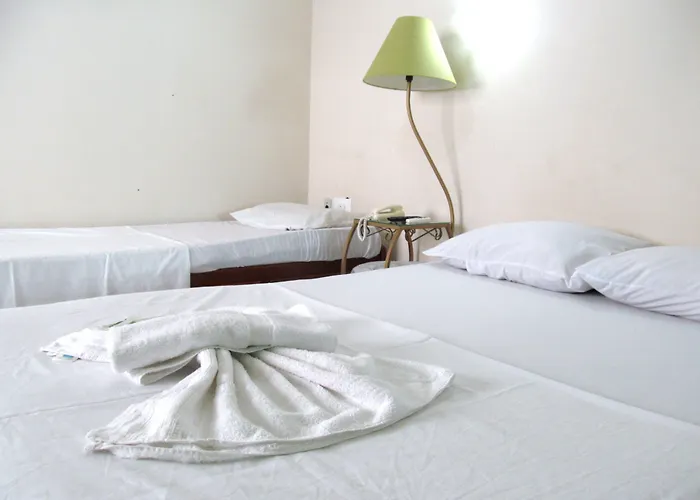 Hotel Olivier