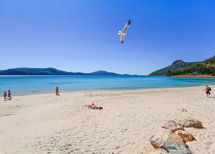 Pinnacle Apartments On Hamilton Island By Hiha