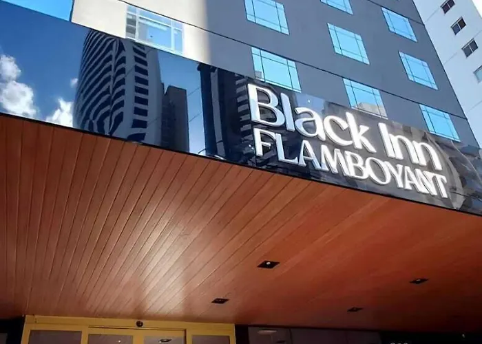 Black Inn Flamboyant
