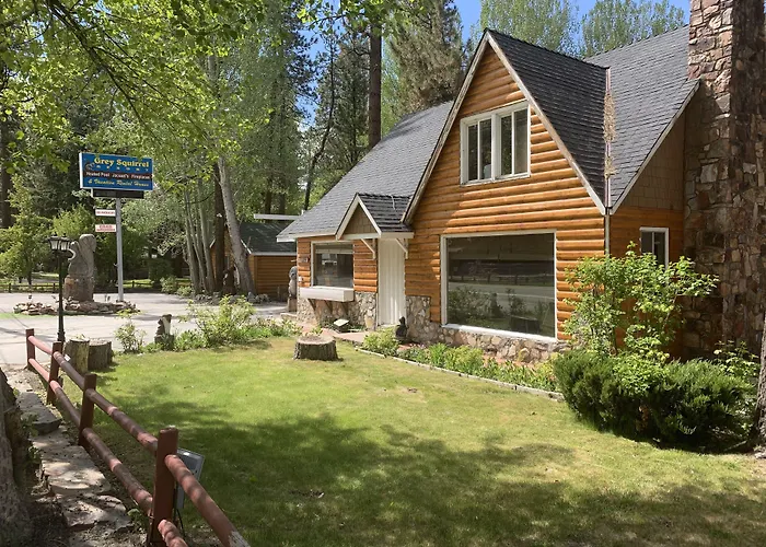 Grey Squirrel Resort