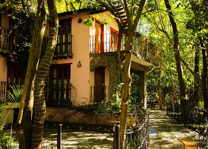 Hotel La Casa de los Árboles Immersive Experience