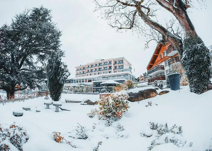 Hotel Eden Spiez