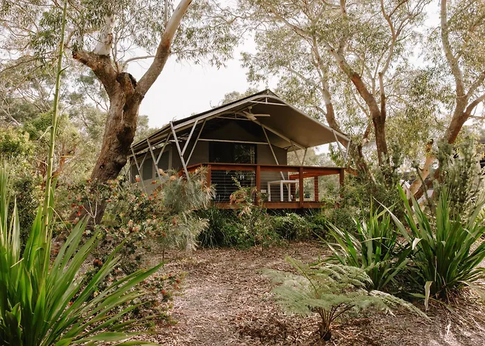 Port Stephens Koala Sanctuary