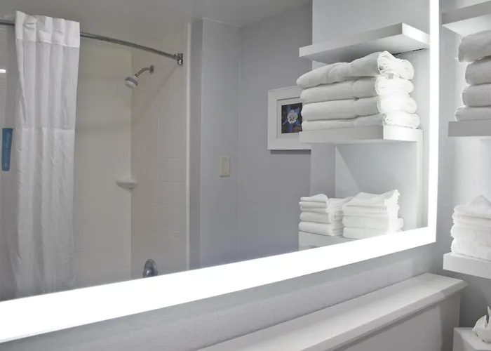 Hampton Inn & Suites Denver-Speer Boulevard