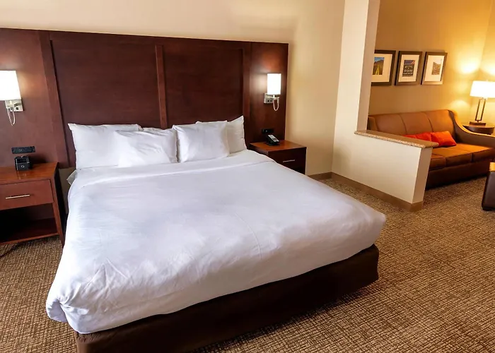 Comfort Suites -West Phoenix