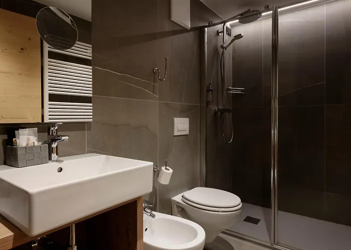 Alpen Hotel Vidi