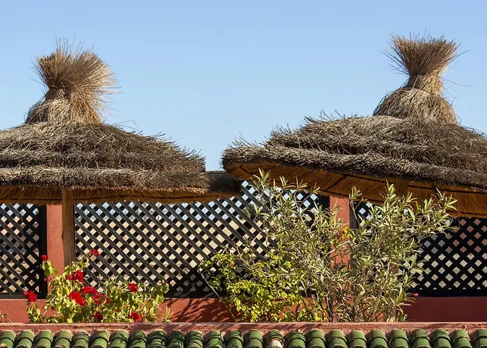 Riad 64 Maison D'Hotes & Spa