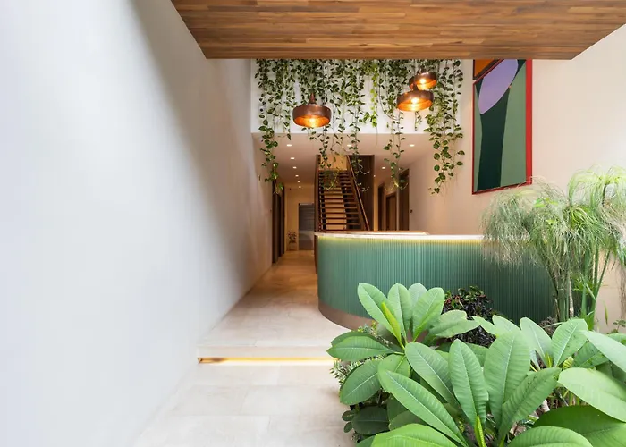 Silvestre Nosara & Residences