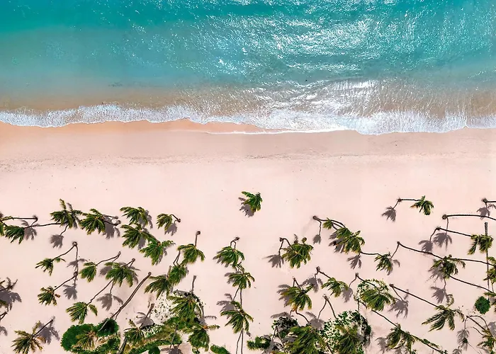 Hyatt Vivid Punta Cana - Adults-Only All-Inclusive Resort