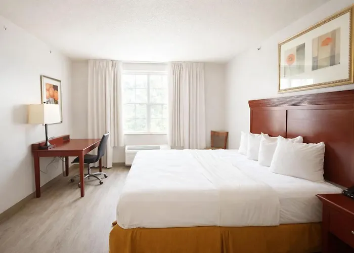 Seffner Inn And Suites