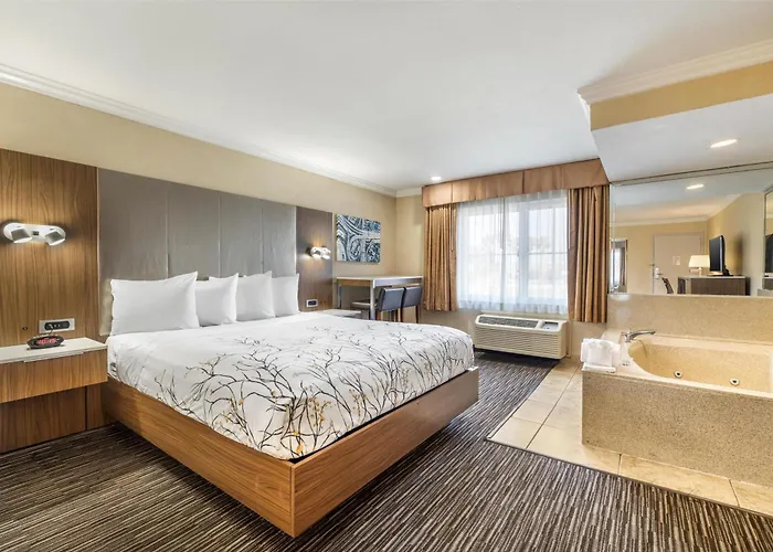 Best Western Airpark Hotel - Lax Airport La Stadium Inglewood