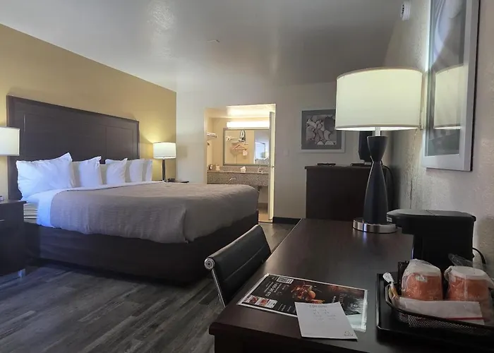 Quality Inn & Suites Near Downtown Mesa
