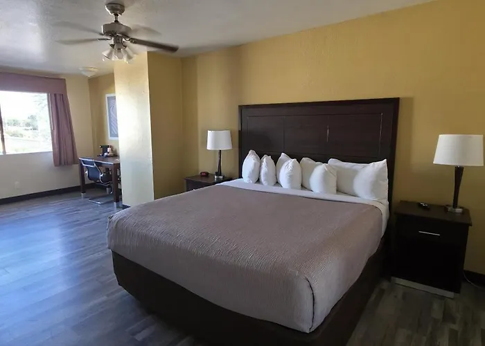 Quality Inn & Suites Near Downtown Mesa