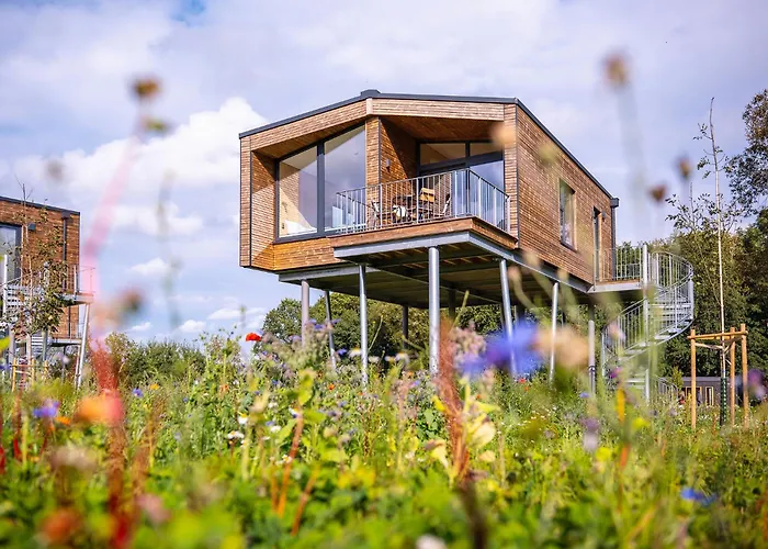 Ostsee Baumhaushotel - Auf Höhe der Baumkronen Wangels