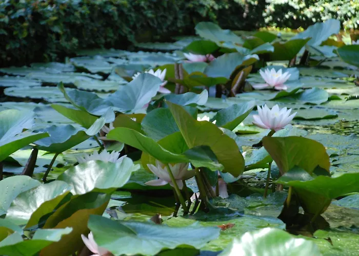 Villa Della Pergola Relais Et Chateaux