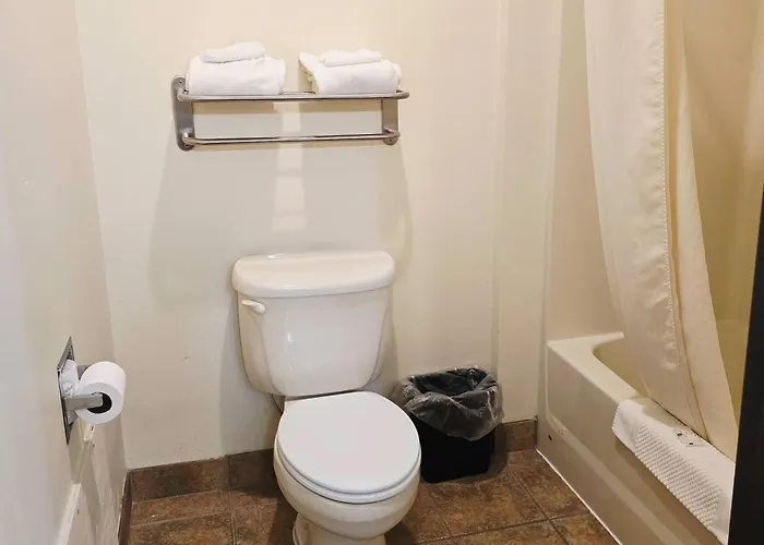 Quality Inn Durand I-69