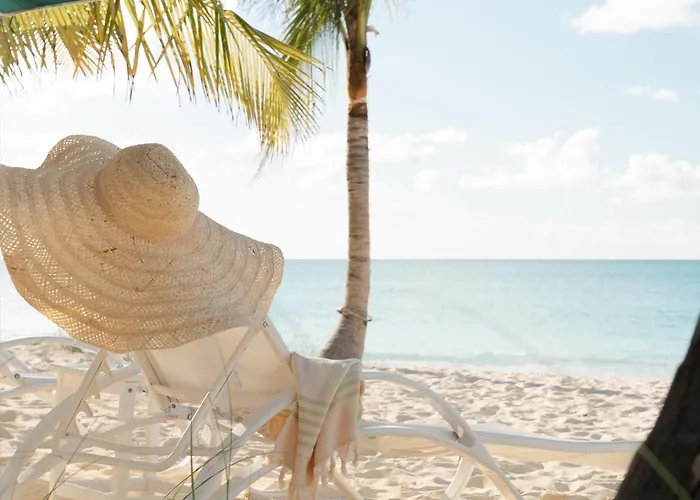 The Island House