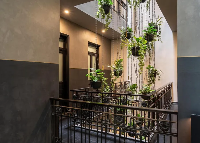 Umbral, Curio Collection By Hilton