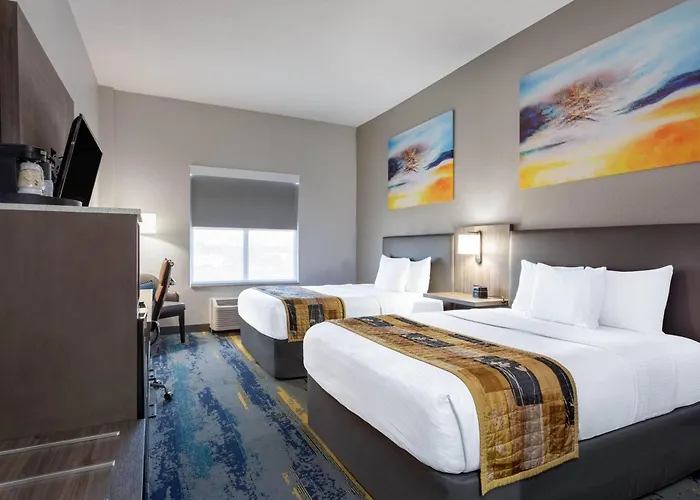La Quinta By Wyndham Tampa Central Carrollwood Village