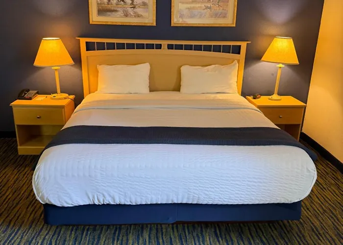 Ameristay Inn & Suites Waverly