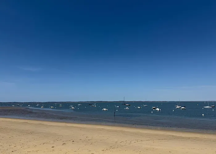 Lamayade