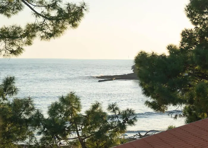 Hôtel Hemen Saint-Palais-sur-Mer