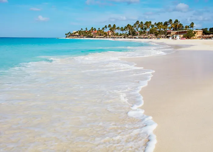 Divi Village Golf And Beach Resort Palm Beach