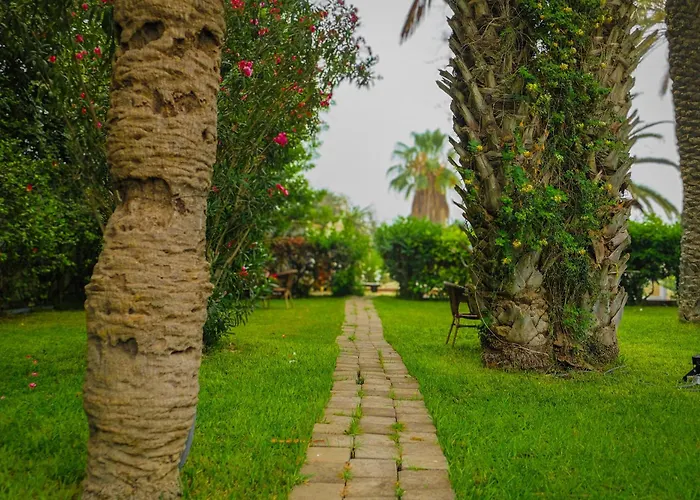 Hamilton Agadir