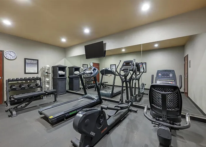 Best Western South Plains Inn & Suites