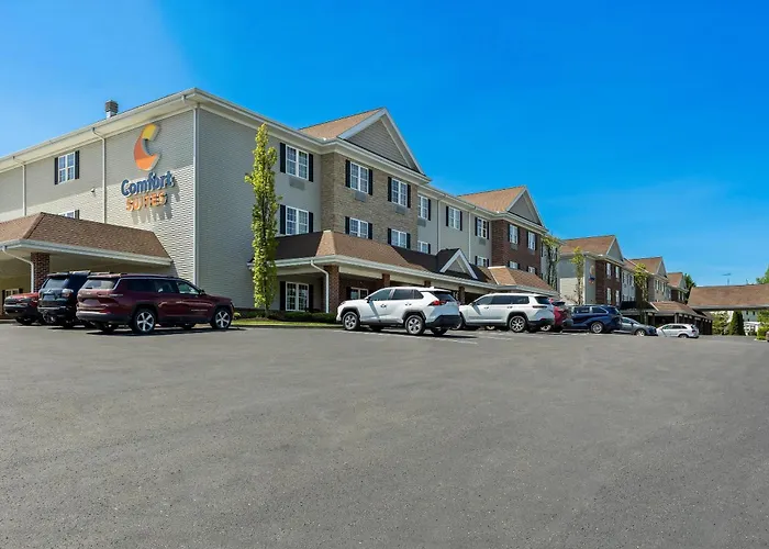 Comfort Suites Hotel And Conference Center
