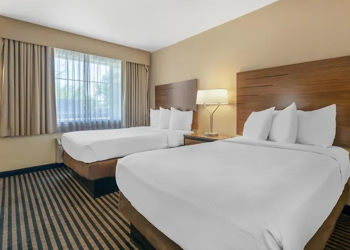 Best Western Town House Lodge