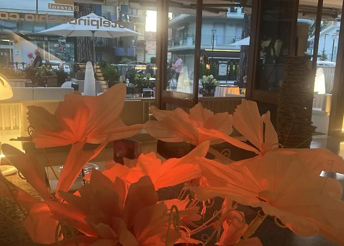 Hotel Pinocchio