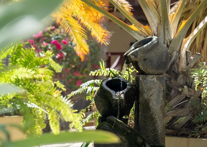 Bamboo Bonaire By Boutique Bonaire Unique Resorts