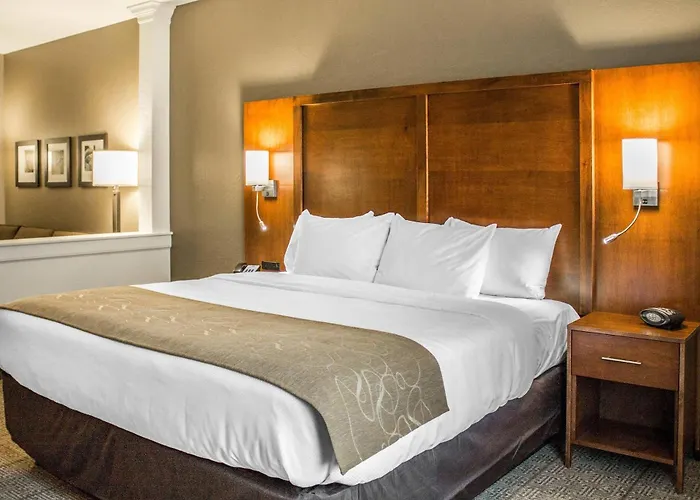 Comfort Suites Hartville-North Canton