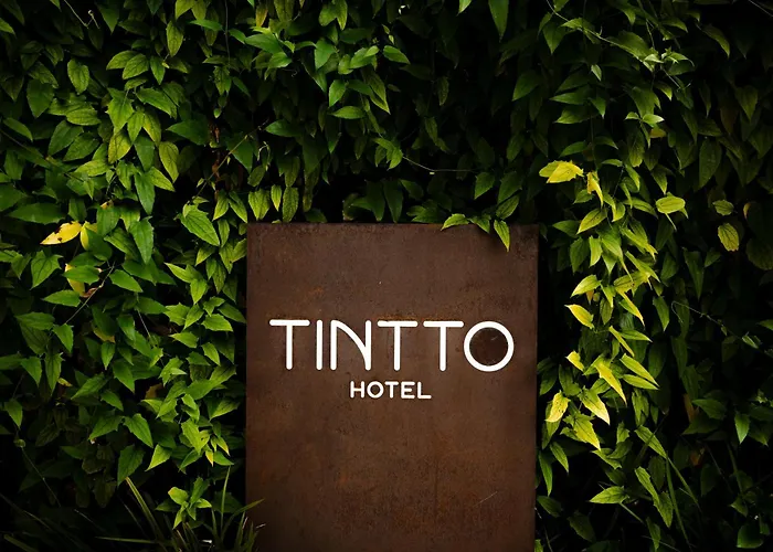 Tintto