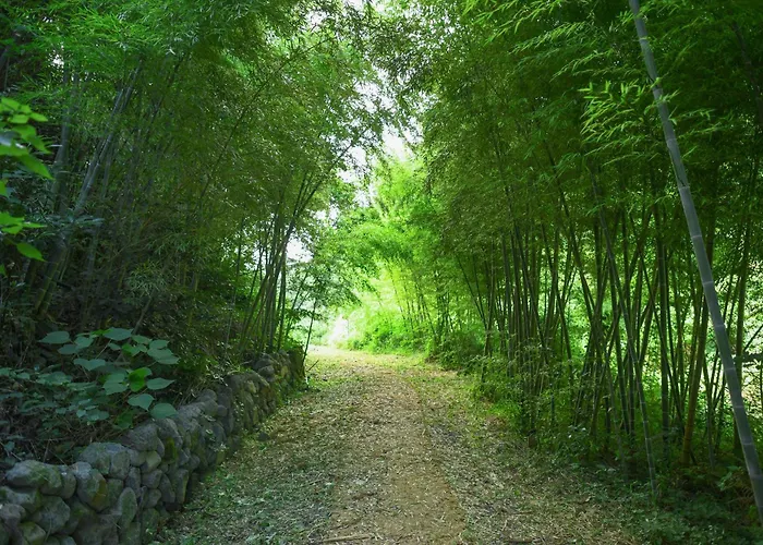 Hidden Cliff Hotel And Nature