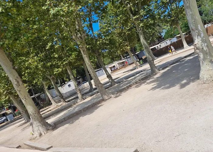 Petit Coin De Paradis A La Yole Vendres
