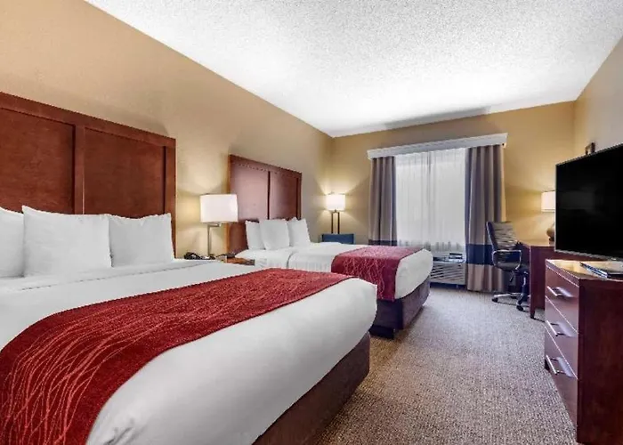 Comfort Inn Dfw Airport North Grapevine