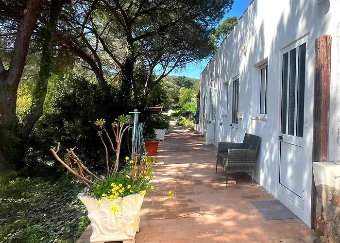 Moinhos Velhos Nature Healing Retreat