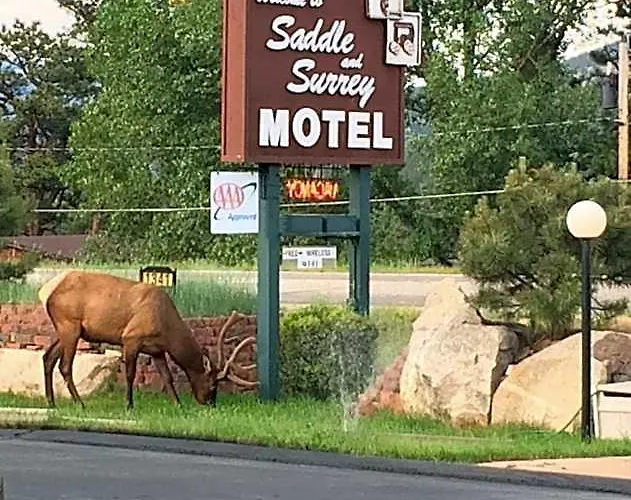 Saddle & Surrey