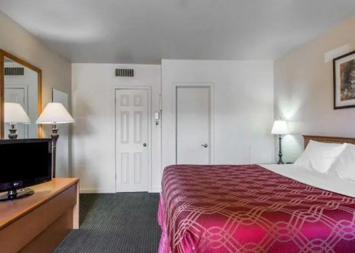 Econo Lodge Inn&Suites Durango