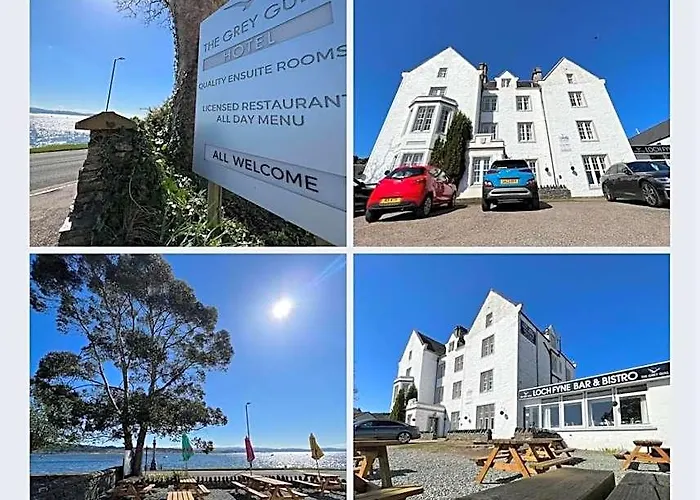 The Grey Gull Hotel