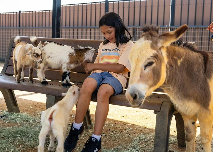 Rough Creek Lodge Ranch And