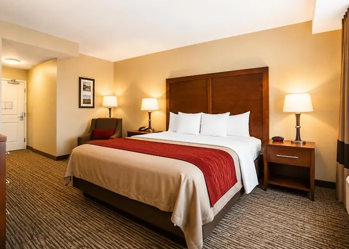 Comfort Inn Pomona Near Fairplex