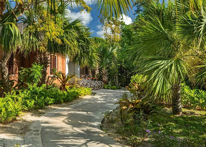 Como Parrot Cay