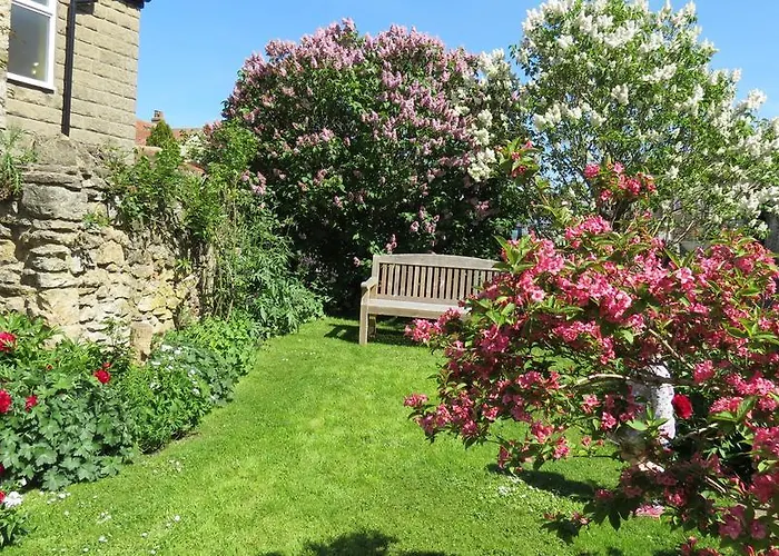 Pear Tree House B&B