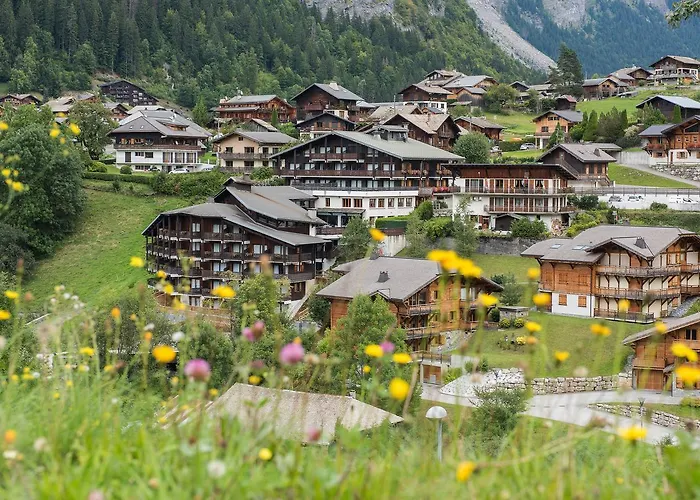 Hotel Le Petit Dru Morzine