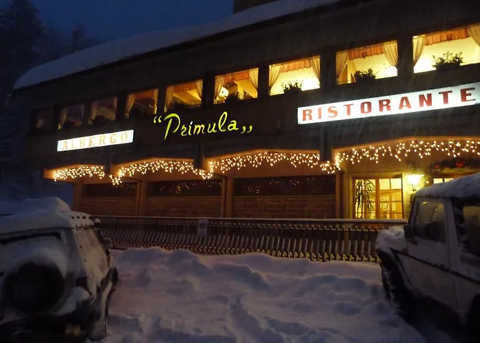 Hotel Primula