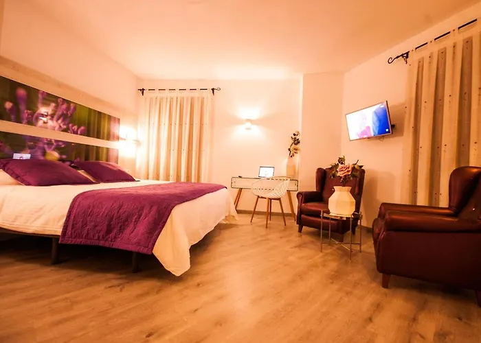 Hotel Hc Zoom